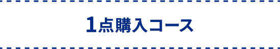 1点購入コース